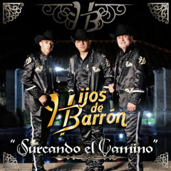 Hijos De Barrón - En Estos Casos