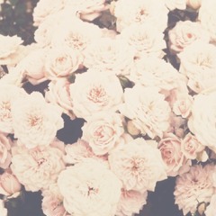 Radioactive IMAGIN DRAGONS (cover) at Basecamp van !