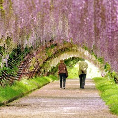 springtime