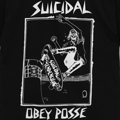 Suicidal Tendencies Possessed Skatenoise