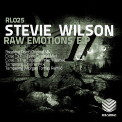 Stevie Wilson - Tampering (Morgan Tomas Rmx)