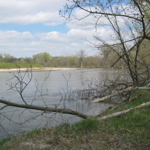 Elkhorn