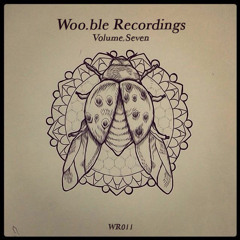 Woo.ble Recordings - Volume.Seven (WR011)