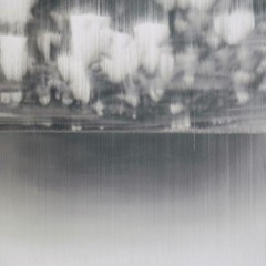 Trachemys scripta elegans