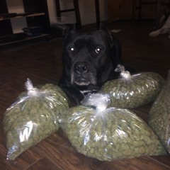 RichPort Money & Power