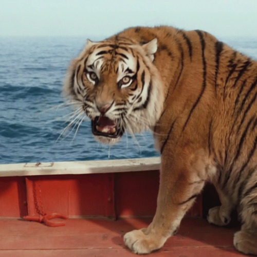 Tiger Pi (Life of Pi Remix)