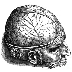 Lucid Dream (Original Song)