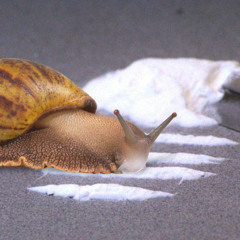 SLOTH - SNAIL SKANK [GANGUS RESKANK] (Escence Audio) FREE DOWNLOAD