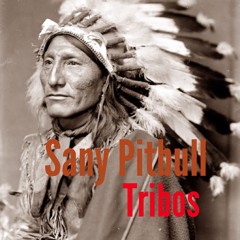 Sany Pitbull feat. Dedé Mandrake - Tribos