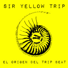 In Case Of Loss - Sir Yellow Trip - TripBeat
