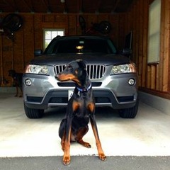 El Internacional Sonido Gerrero Latino  Dj Khriz