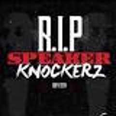 Rip Speaker Knockers