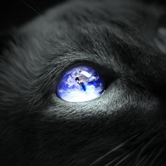 Subsistence - Earth