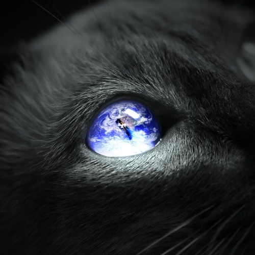 Subsistence - Earth