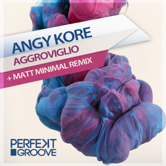 AnGy KoRe - Aggroviglio ( Matt Minimal Groovy Remix )