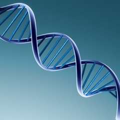 ComeOnBaby(Contains SubBass)