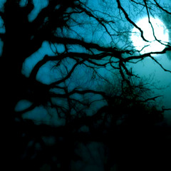 Passenger Seat (Death Cab for Cutie Cover)