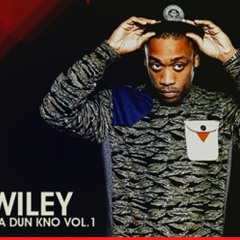 Wiley - Ice Rink Rough