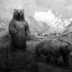 Bears feat.  Ralph Carney