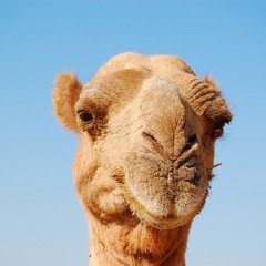 Dét Okay! (Feat. MC Andrea)