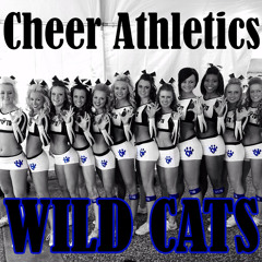 Cheer Athletics Wildcats 2014