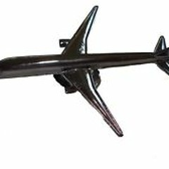 ******FLY HIGH******