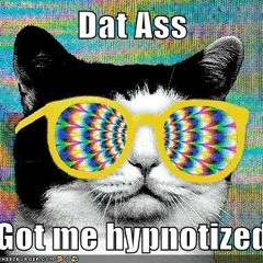 TJR - Ass Hypnotized (set-rip)
