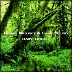 Norma Project & Liquid Sound - Rainforest (135) Preview