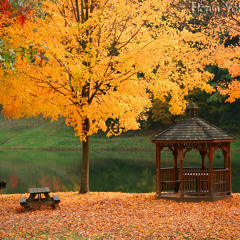 Işın Karaca ft. Berk Turan - Mandalinalar (Trompet Aranjman)