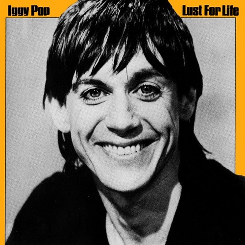 Iggy Pop - The passenger - guitar cover