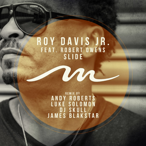 Roy Davis Jr feat Robert Owens - Slide (James Blakstar John Remix) RADIO EDIT