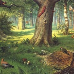 Take A Look Inside the Forest