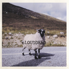 Side B Clouddead #4; Jimmy Breeze 10'' - cLOUDDEAD