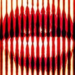 DEEP is about the people