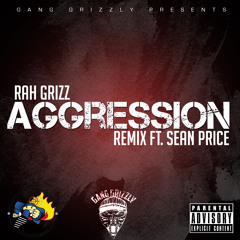 Rah Grizz Agression - ft Sean Price (Remix)