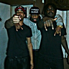 twiggs family