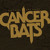 Artwork for Pnuemonia Hawk (Cancer Bats Cover)