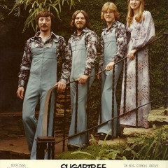Turn Around Look At Me - Sugartree 1979