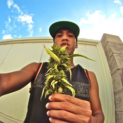 rootsie