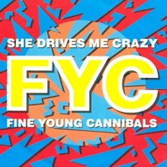 Fine Young Cannibals - She Drives Me Crazy (RM Remix)