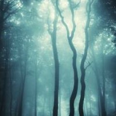 The Amazing You (Feat. Beautify) - kissing you through being kistna