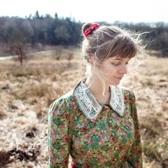 Wabash Cannonball (Still House Edit)