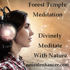 Forest Temple Meditation Sample