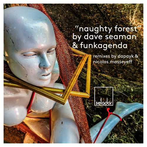 Dave Seaman & Funkagenda - Naughty Forest (Dapayk Remix )(SC Edit) - Selador