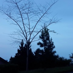 悲しみにさようなら