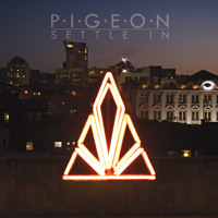 Pigeon - Settle In