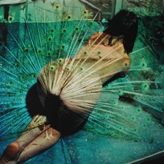 Almost Sex on the Beach mixtape