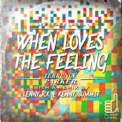 When Loves The Feeling by Terrence Parker (Lenny RX & Kenny Summit Remix)