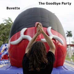 The Goodbye Party