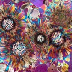 Autre radiopodcast @ FM4 Vienna